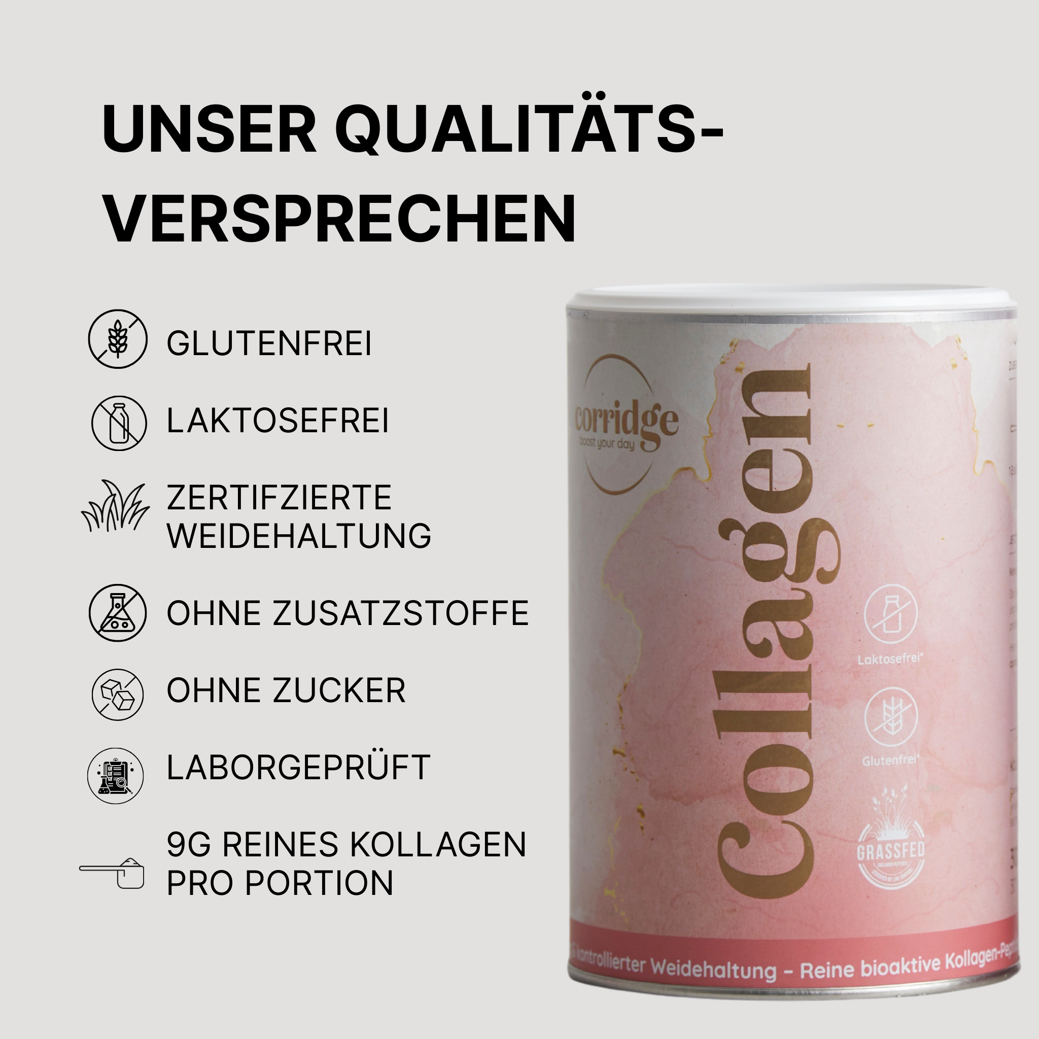 Löwen-Vorratspaket 🦁