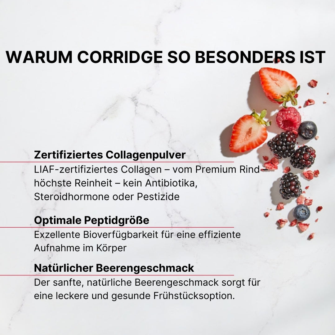 3er Bundle - CorridgeÂź Berry- 3x 420g Dose